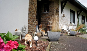 B&B Au Coq en Pate